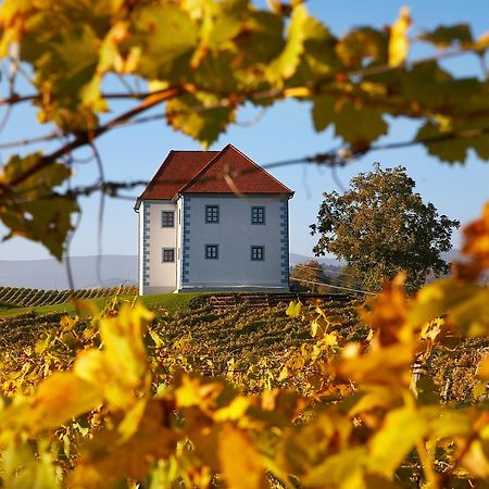 דירות Slovenske Konjice Wine Grower'S Mansion Zlati Gric מראה חיצוני תמונה