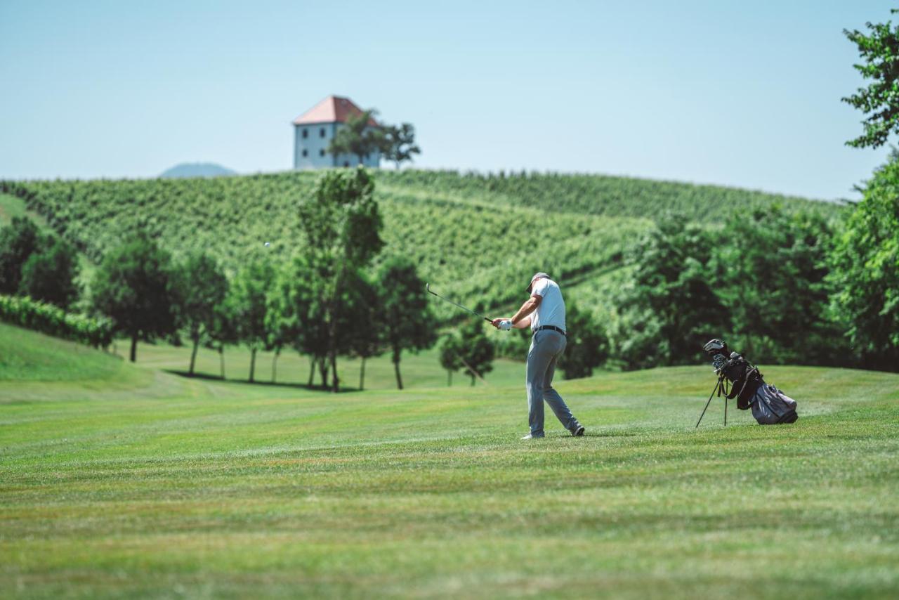 דירות Slovenske Konjice Wine Grower'S Mansion Zlati Gric מראה חיצוני תמונה