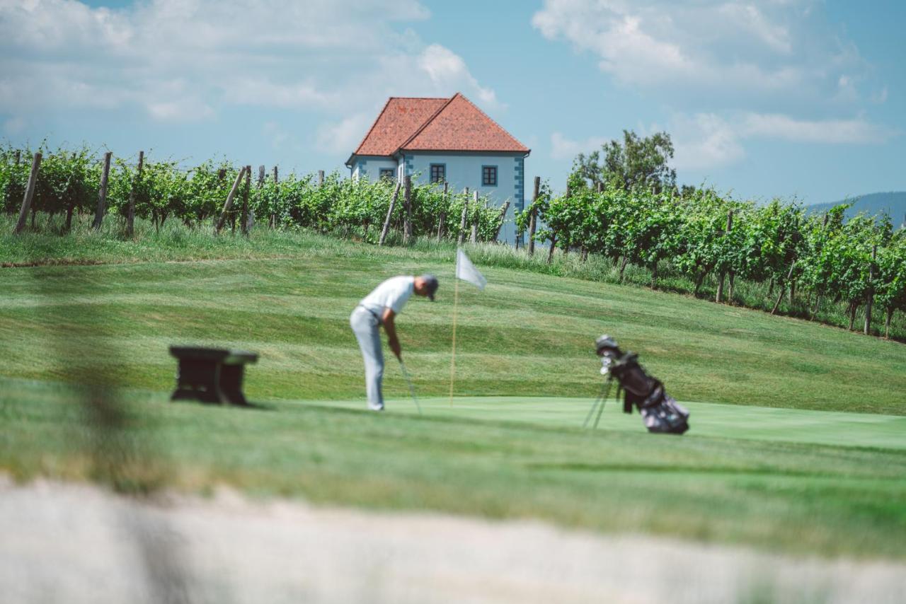 דירות Slovenske Konjice Wine Grower'S Mansion Zlati Gric מראה חיצוני תמונה