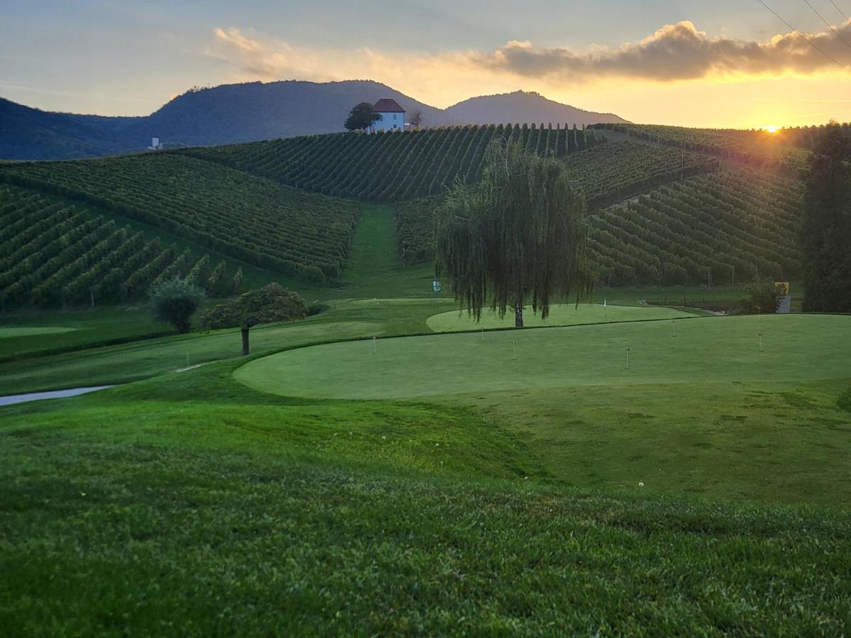 דירות Slovenske Konjice Wine Grower'S Mansion Zlati Gric מראה חיצוני תמונה