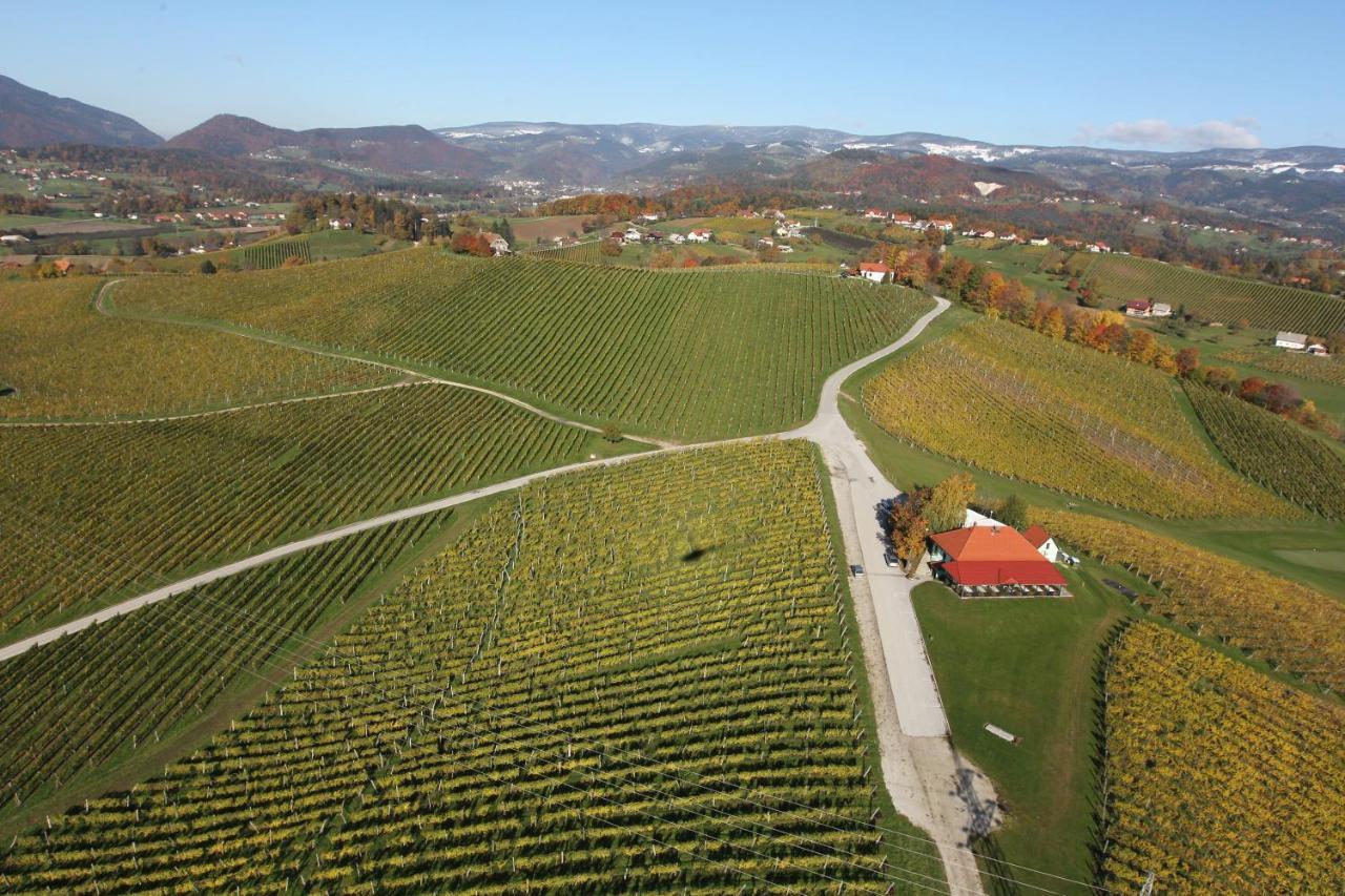 דירות Slovenske Konjice Wine Grower'S Mansion Zlati Gric מראה חיצוני תמונה