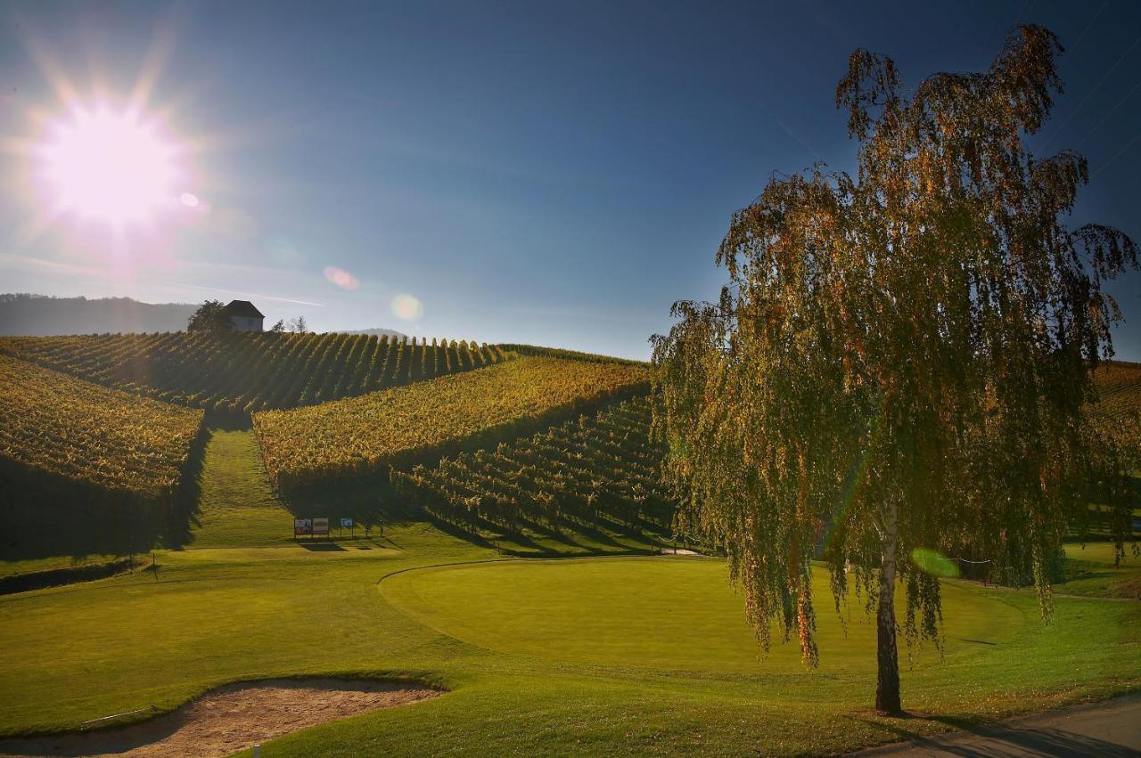 דירות Slovenske Konjice Wine Grower'S Mansion Zlati Gric מראה חיצוני תמונה