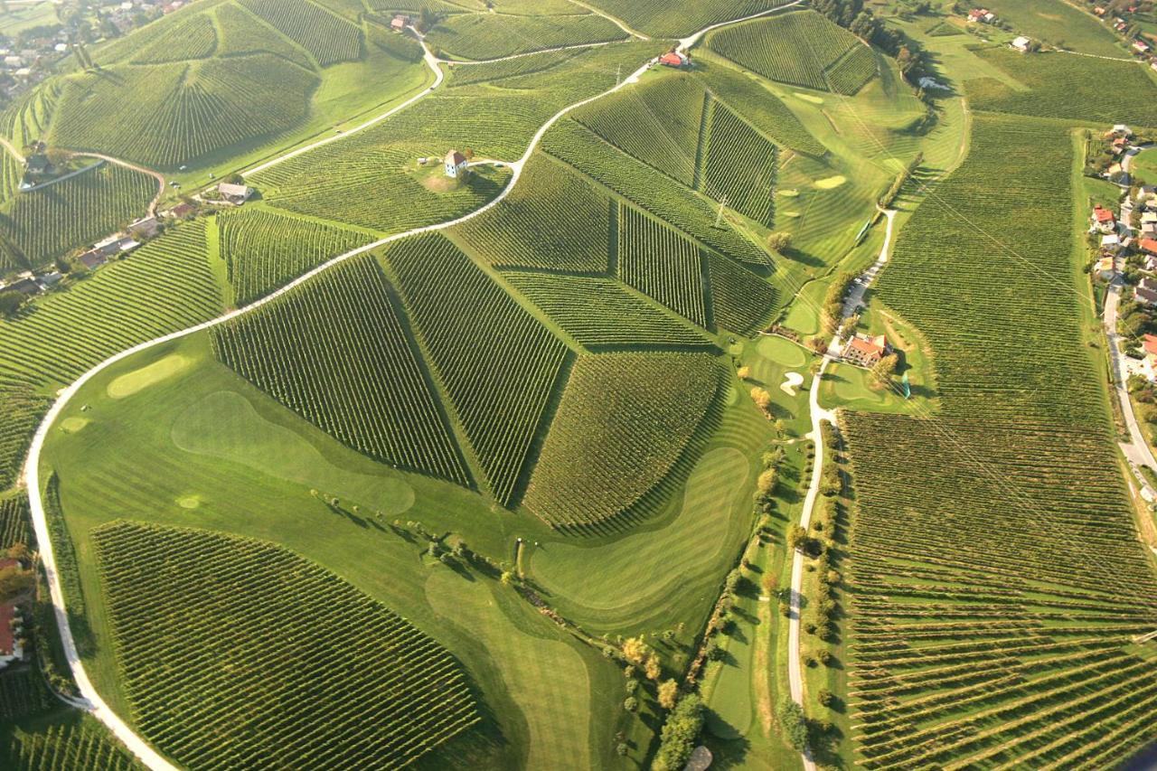 דירות Slovenske Konjice Wine Grower'S Mansion Zlati Gric מראה חיצוני תמונה