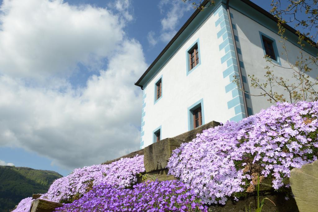 דירות Slovenske Konjice Wine Grower'S Mansion Zlati Gric מראה חיצוני תמונה