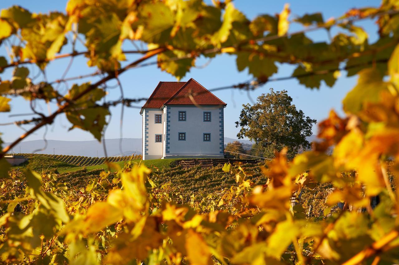 דירות Slovenske Konjice Wine Grower'S Mansion Zlati Gric מראה חיצוני תמונה