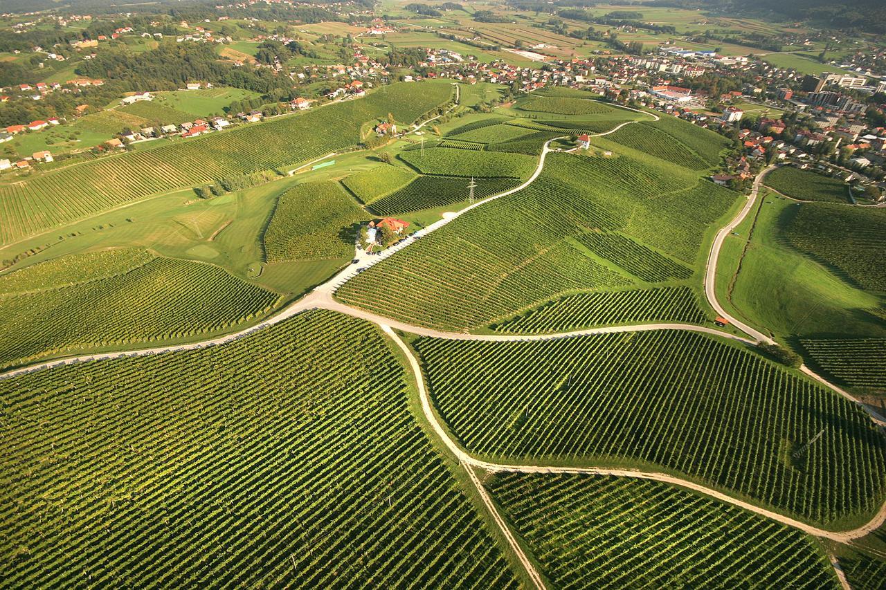 דירות Slovenske Konjice Wine Grower'S Mansion Zlati Gric מראה חיצוני תמונה