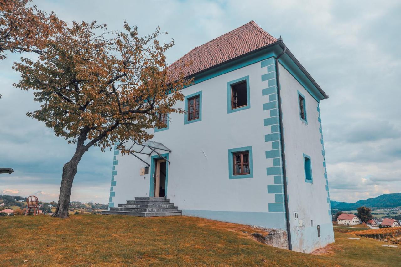 דירות Slovenske Konjice Wine Grower'S Mansion Zlati Gric מראה חיצוני תמונה